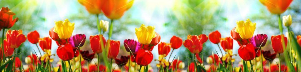<span  class="uc_style_uc_tiles_grid_image_elementor_uc_items_attribute_title" style="color:#ffffff;">skinali-4851</span>