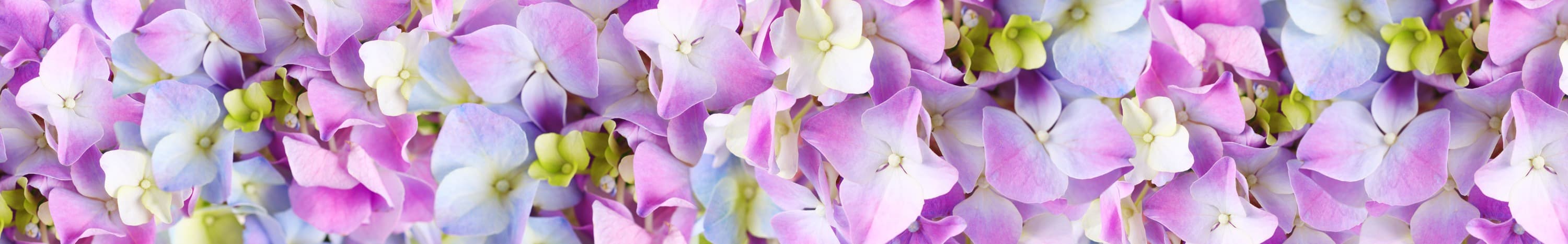 <span  class="uc_style_uc_tiles_grid_image_elementor_uc_items_attribute_title" style="color:#ffffff;">skinali-4871</span>