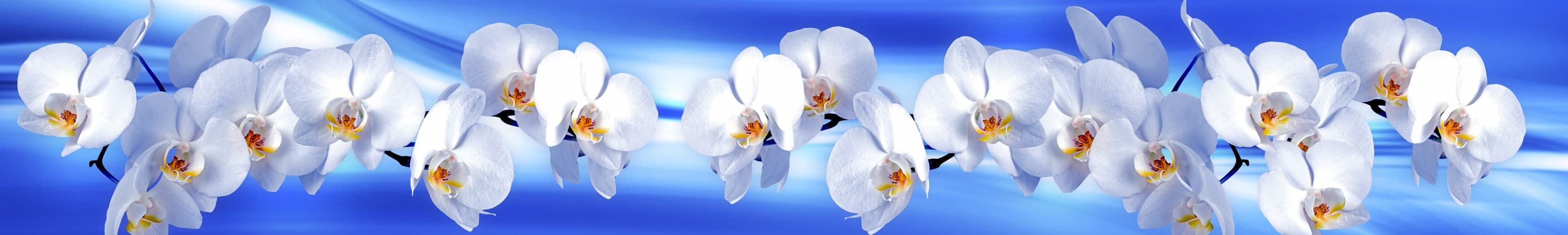 <span  class="uc_style_uc_tiles_grid_image_elementor_uc_items_attribute_title" style="color:#ffffff;">skinali-4872</span>