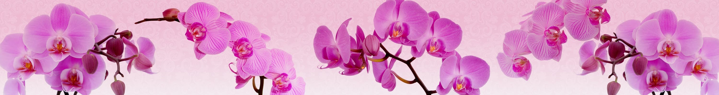 <span  class="uc_style_uc_tiles_grid_image_elementor_uc_items_attribute_title" style="color:#ffffff;">skinali-4939</span>