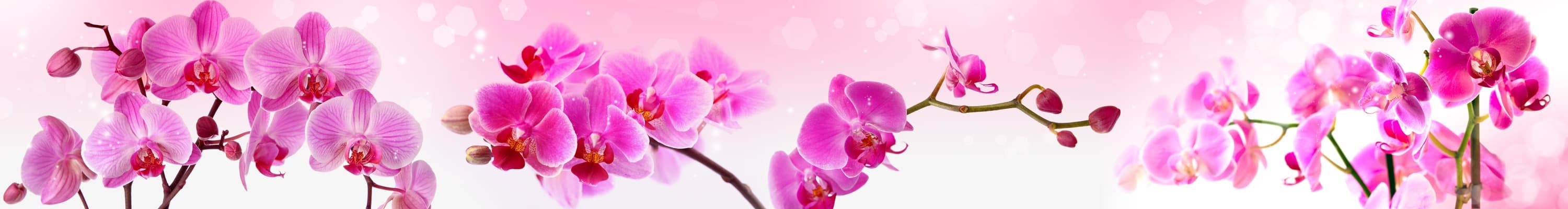 <span  class="uc_style_uc_tiles_grid_image_elementor_uc_items_attribute_title" style="color:#ffffff;">skinali-4943</span>