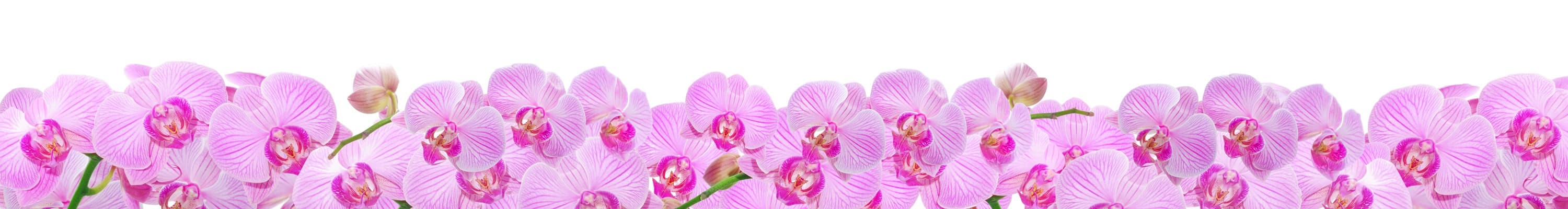 <span  class="uc_style_uc_tiles_grid_image_elementor_uc_items_attribute_title" style="color:#ffffff;">skinali-4945</span>