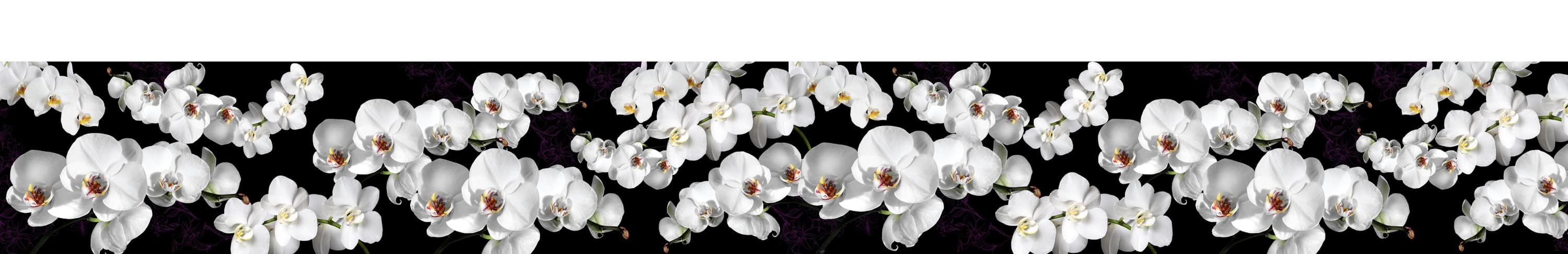 <span  class="uc_style_uc_tiles_grid_image_elementor_uc_items_attribute_title" style="color:#ffffff;">skinali-4955</span>