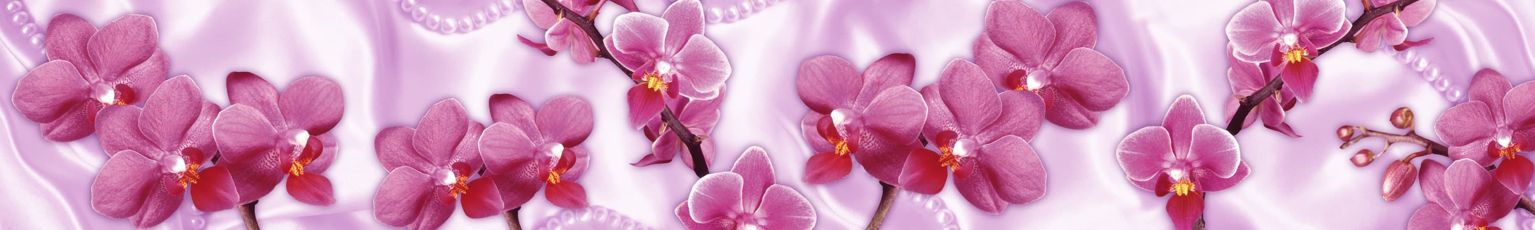 <span  class="uc_style_uc_tiles_grid_image_elementor_uc_items_attribute_title" style="color:#ffffff;">skinali-4990</span>