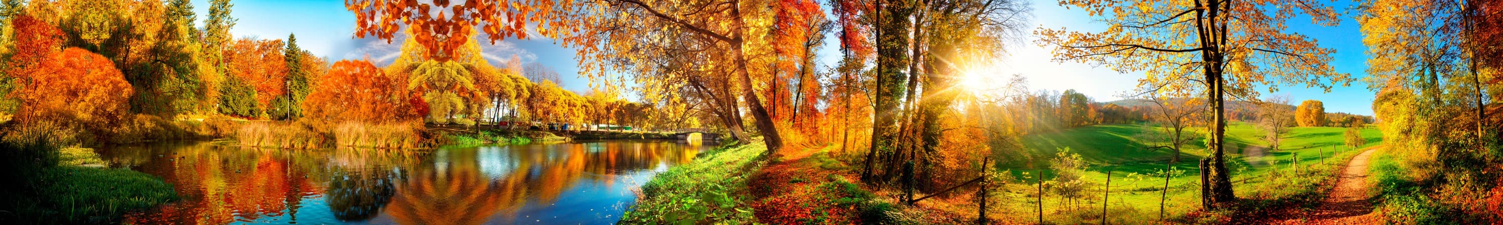 <span  class="uc_style_uc_tiles_grid_image_elementor_uc_items_attribute_title" style="color:#ffffff;">skinali-5008</span>