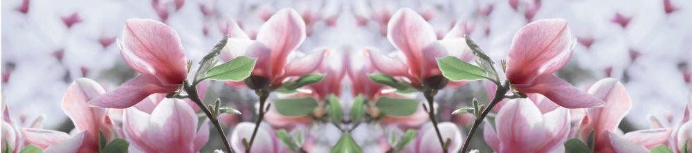 <span  class="uc_style_uc_tiles_grid_image_elementor_uc_items_attribute_title" style="color:#ffffff;">skinali-5078</span>