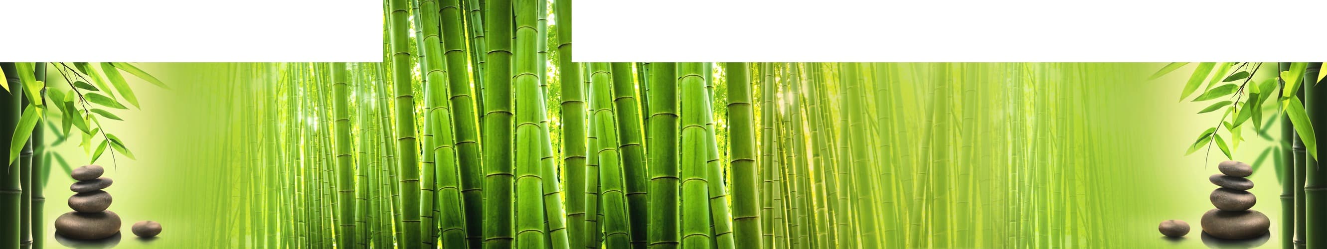 <span  class="uc_style_uc_tiles_grid_image_elementor_uc_items_attribute_title" style="color:#ffffff;">skinali-5139</span>