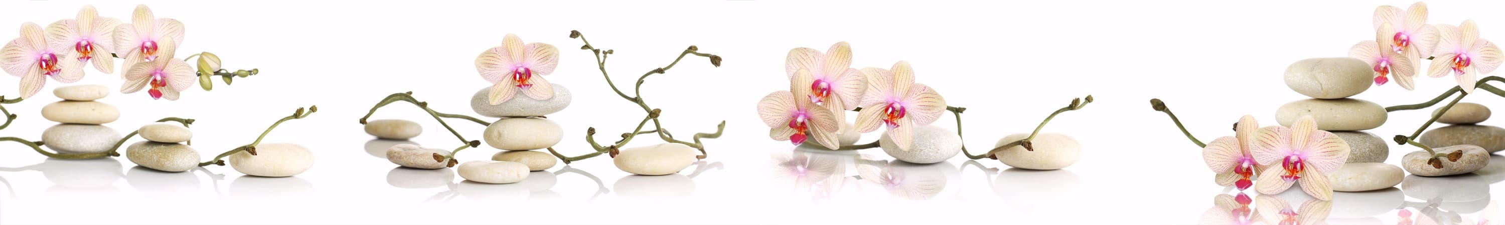 <span  class="uc_style_uc_tiles_grid_image_elementor_uc_items_attribute_title" style="color:#ffffff;">skinali-5195</span>