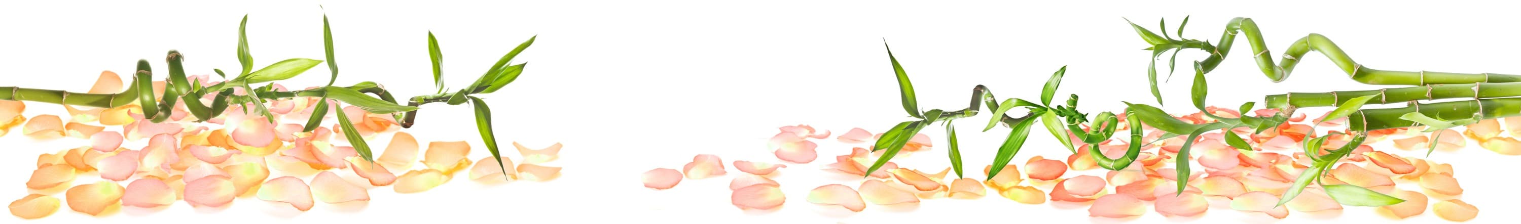 <span  class="uc_style_uc_tiles_grid_image_elementor_uc_items_attribute_title" style="color:#ffffff;">skinali-5204</span>