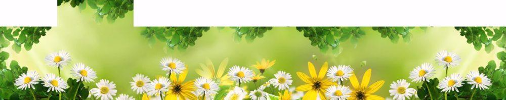 <span  class="uc_style_uc_tiles_grid_image_elementor_uc_items_attribute_title" style="color:#ffffff;">skinali-5216</span>