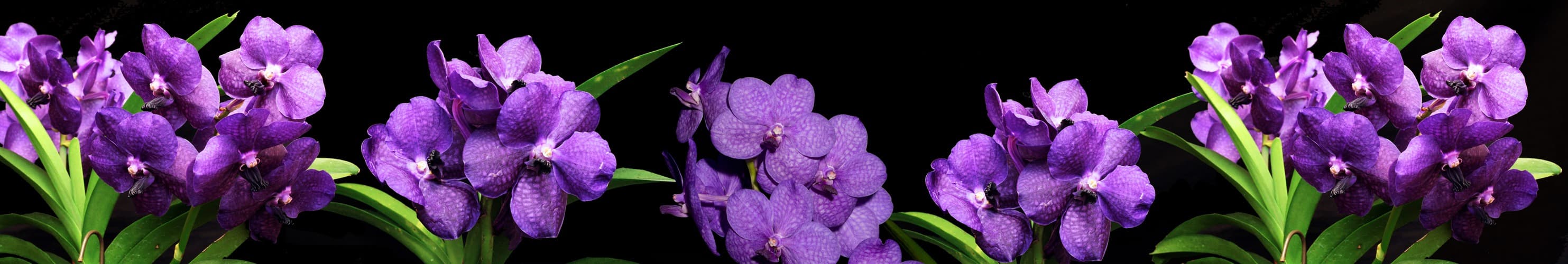 <span  class="uc_style_uc_tiles_grid_image_elementor_uc_items_attribute_title" style="color:#ffffff;">skinali-5280</span>