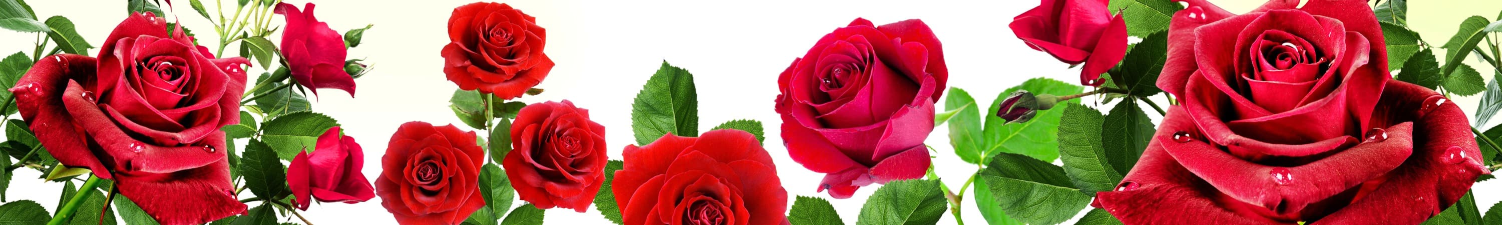 <span  class="uc_style_uc_tiles_grid_image_elementor_uc_items_attribute_title" style="color:#ffffff;">skinali-5310</span>