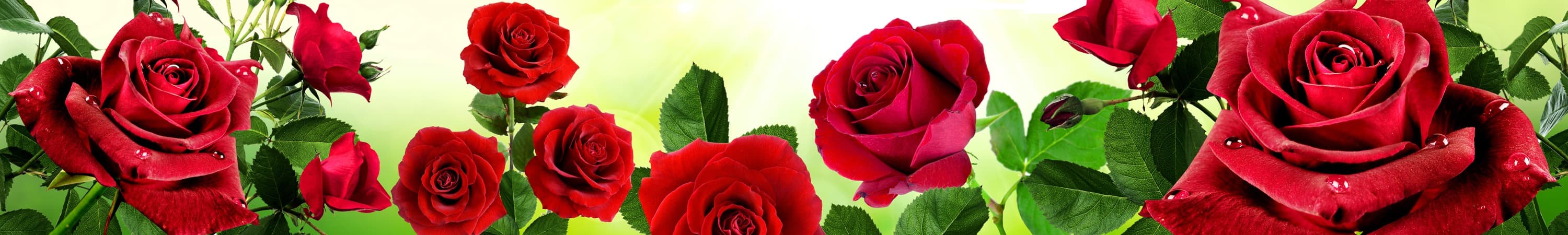 <span  class="uc_style_uc_tiles_grid_image_elementor_uc_items_attribute_title" style="color:#ffffff;">skinali-5311</span>