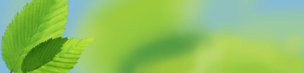<span  class="uc_style_uc_tiles_grid_image_elementor_uc_items_attribute_title" style="color:#ffffff;">skinali-5324</span>