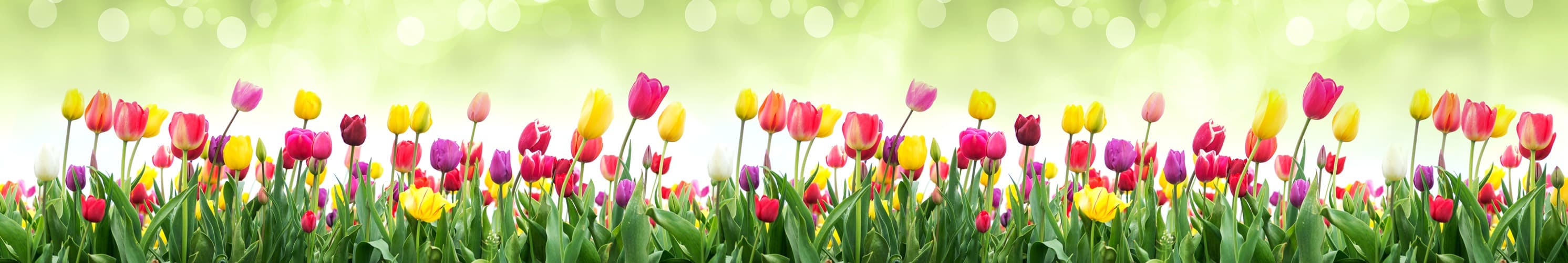 <span  class="uc_style_uc_tiles_grid_image_elementor_uc_items_attribute_title" style="color:#ffffff;">skinali-5329</span>