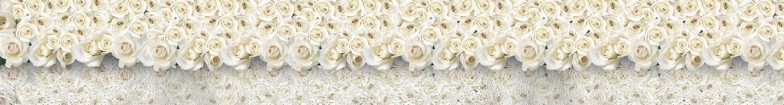 <span  class="uc_style_uc_tiles_grid_image_elementor_uc_items_attribute_title" style="color:#ffffff;">skinali-5346</span>