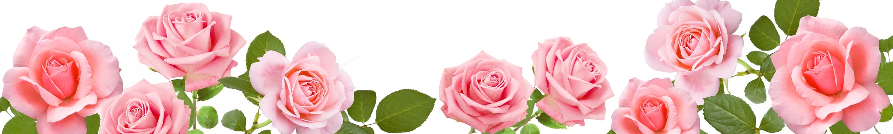 <span  class="uc_style_uc_tiles_grid_image_elementor_uc_items_attribute_title" style="color:#ffffff;">skinali-5353</span>