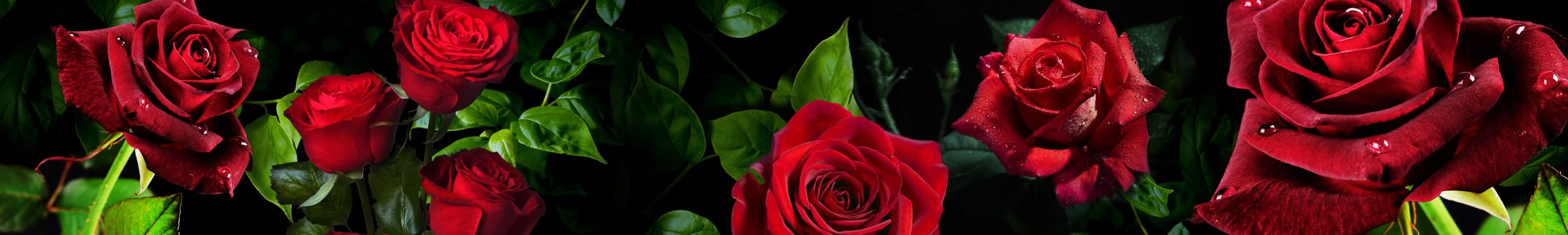 <span  class="uc_style_uc_tiles_grid_image_elementor_uc_items_attribute_title" style="color:#ffffff;">skinali-5355</span>