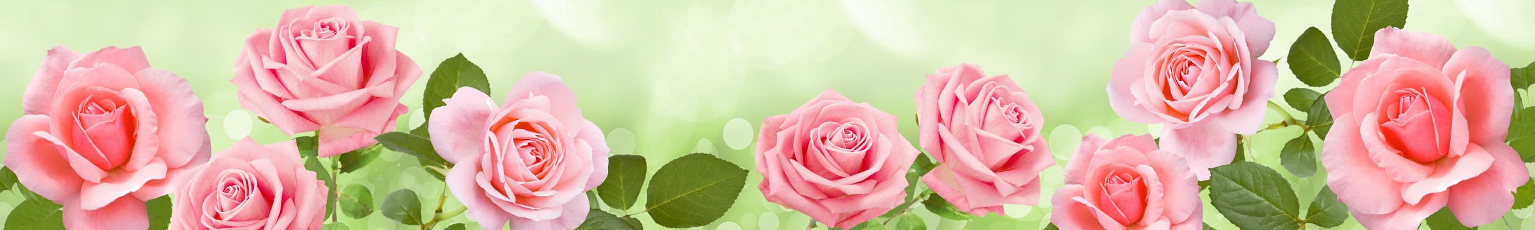 <span  class="uc_style_uc_tiles_grid_image_elementor_uc_items_attribute_title" style="color:#ffffff;">skinali-5356</span>