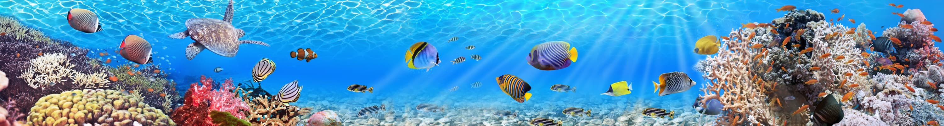<span  class="uc_style_uc_tiles_grid_image_elementor_uc_items_attribute_title" style="color:#ffffff;">skinali-5361</span>