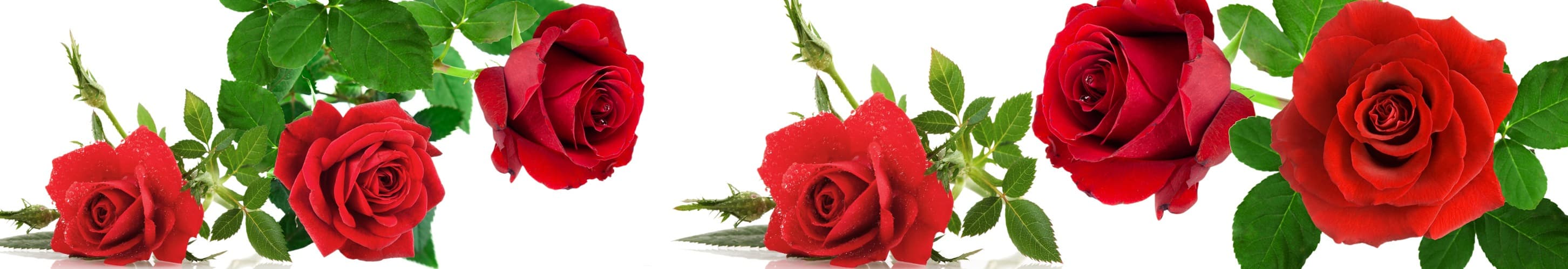 <span  class="uc_style_uc_tiles_grid_image_elementor_uc_items_attribute_title" style="color:#ffffff;">skinali-5364</span>