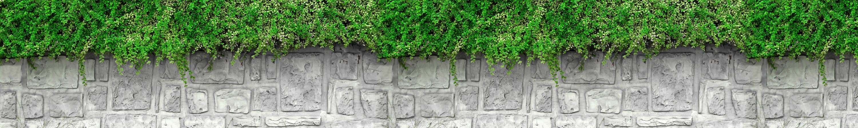 <span  class="uc_style_uc_tiles_grid_image_elementor_uc_items_attribute_title" style="color:#ffffff;">skinali-5382</span>