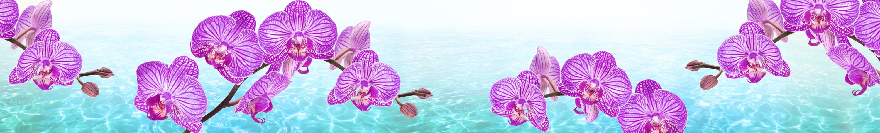 <span  class="uc_style_uc_tiles_grid_image_elementor_uc_items_attribute_title" style="color:#ffffff;">skinali-5384</span>