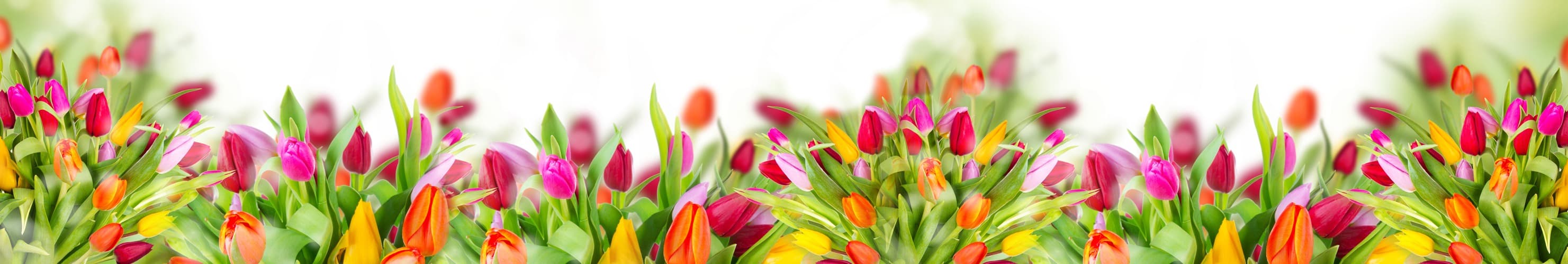 <span  class="uc_style_uc_tiles_grid_image_elementor_uc_items_attribute_title" style="color:#ffffff;">skinali-5407</span>