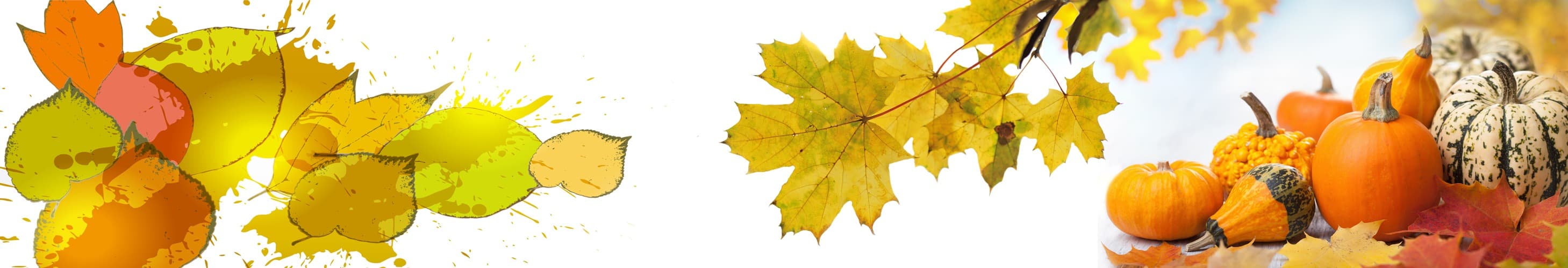 <span  class="uc_style_uc_tiles_grid_image_elementor_uc_items_attribute_title" style="color:#ffffff;">skinali-5420</span>