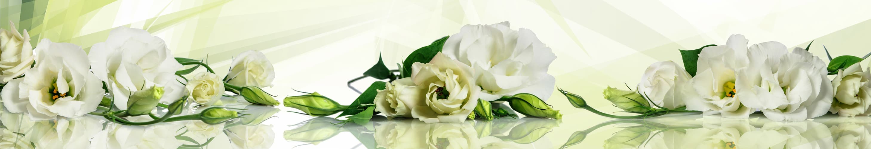 <span  class="uc_style_uc_tiles_grid_image_elementor_uc_items_attribute_title" style="color:#ffffff;">skinali-5436</span>