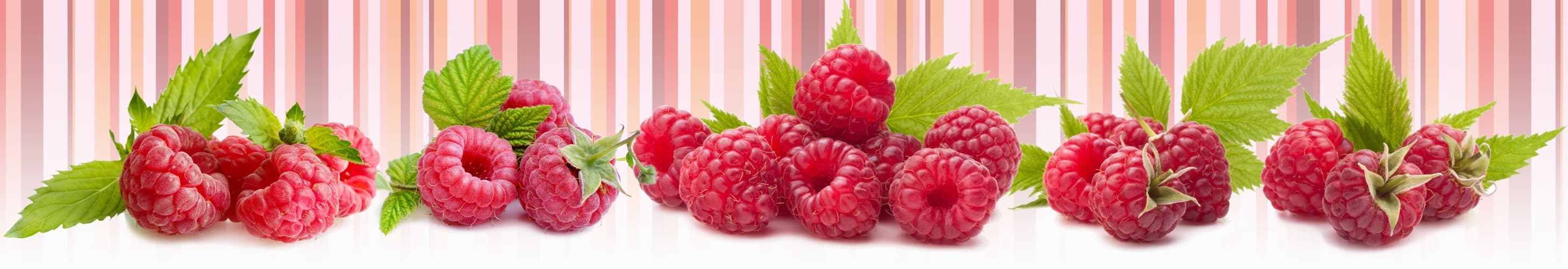 <span  class="uc_style_uc_tiles_grid_image_elementor_uc_items_attribute_title" style="color:#ffffff;">skinali-5451</span>