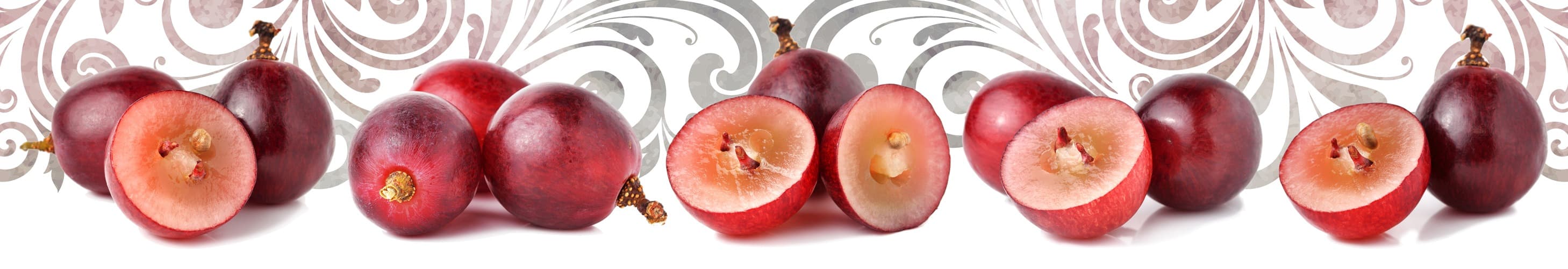 <span  class="uc_style_uc_tiles_grid_image_elementor_uc_items_attribute_title" style="color:#ffffff;">skinali-5452</span>