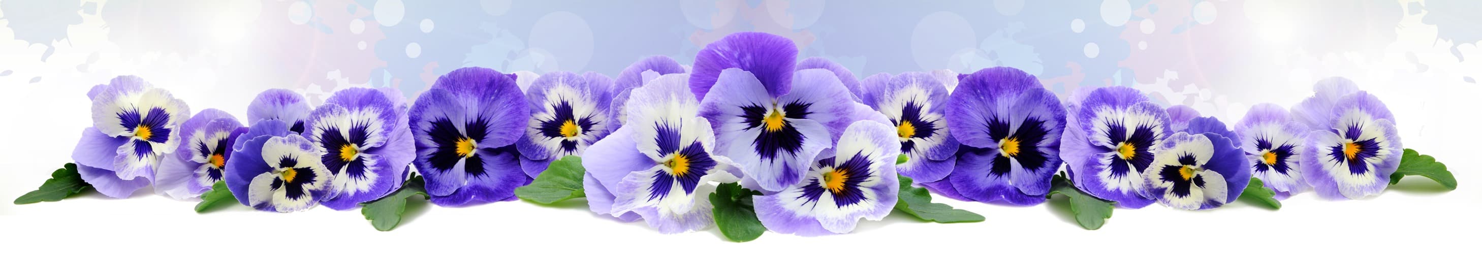 <span  class="uc_style_uc_tiles_grid_image_elementor_uc_items_attribute_title" style="color:#ffffff;">skinali-5453</span>