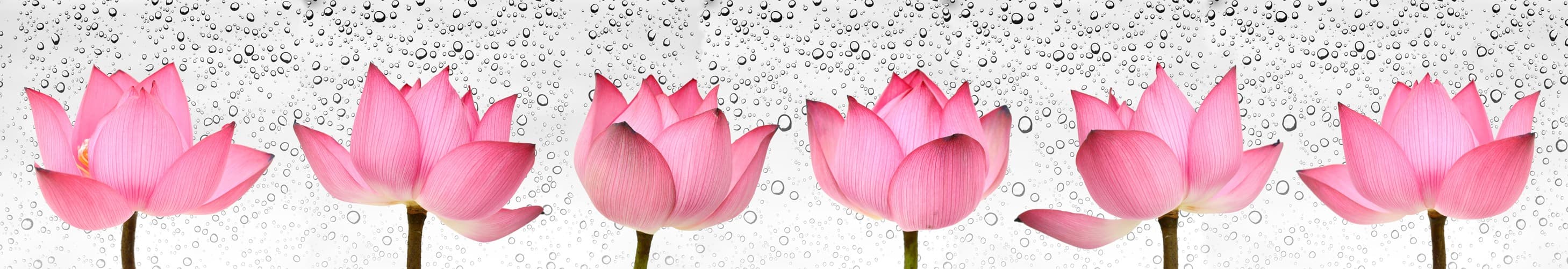 <span  class="uc_style_uc_tiles_grid_image_elementor_uc_items_attribute_title" style="color:#ffffff;">skinali-5467</span>