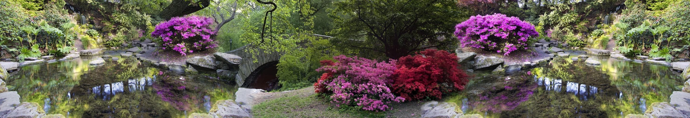 <span  class="uc_style_uc_tiles_grid_image_elementor_uc_items_attribute_title" style="color:#ffffff;">skinali-5473</span>