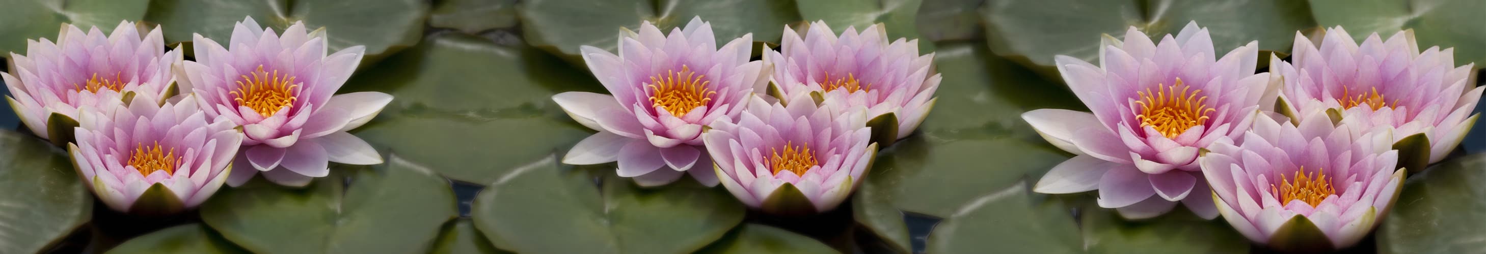 <span  class="uc_style_uc_tiles_grid_image_elementor_uc_items_attribute_title" style="color:#ffffff;">skinali-5475</span>