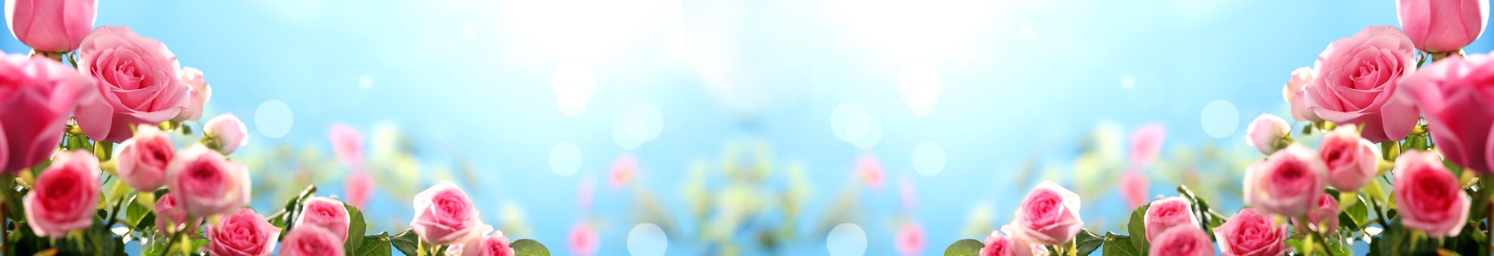 <span  class="uc_style_uc_tiles_grid_image_elementor_uc_items_attribute_title" style="color:#ffffff;">skinali-5477</span>