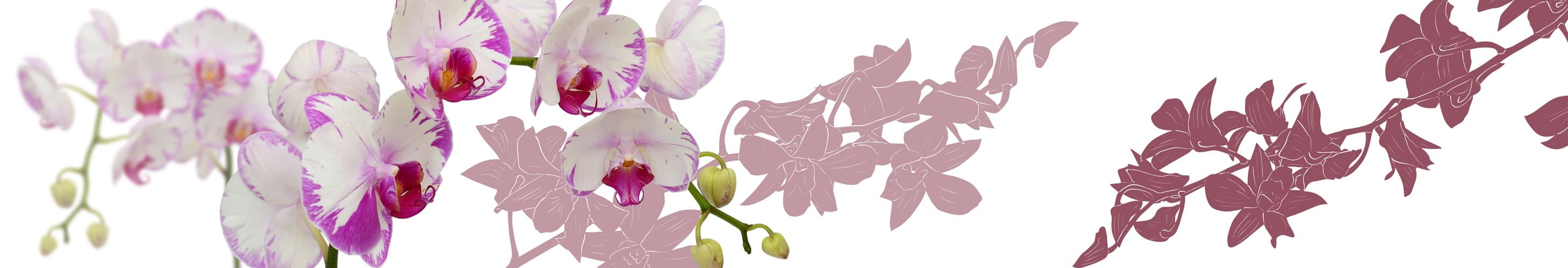 <span  class="uc_style_uc_tiles_grid_image_elementor_uc_items_attribute_title" style="color:#ffffff;">skinali-5484</span>