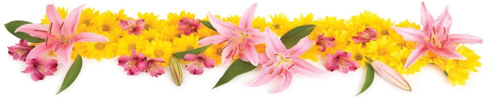 <span  class="uc_style_uc_tiles_grid_image_elementor_uc_items_attribute_title" style="color:#ffffff;">skinali-5527</span>