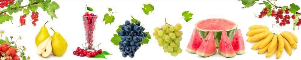 <span  class="uc_style_uc_tiles_grid_image_elementor_uc_items_attribute_title" style="color:#ffffff;">skinali-5553</span>
