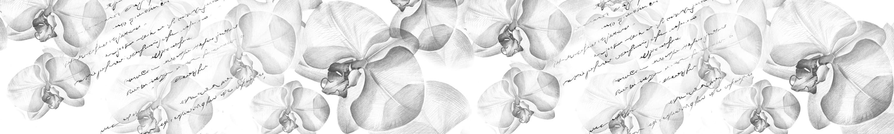 <span  class="uc_style_uc_tiles_grid_image_elementor_uc_items_attribute_title" style="color:#ffffff;">skinali-5579</span>