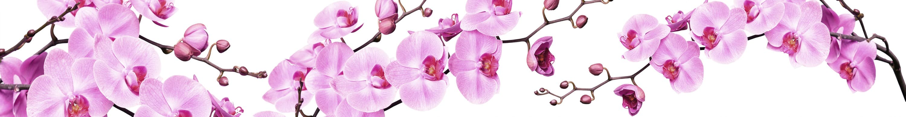 <span  class="uc_style_uc_tiles_grid_image_elementor_uc_items_attribute_title" style="color:#ffffff;">skinali-5625</span>