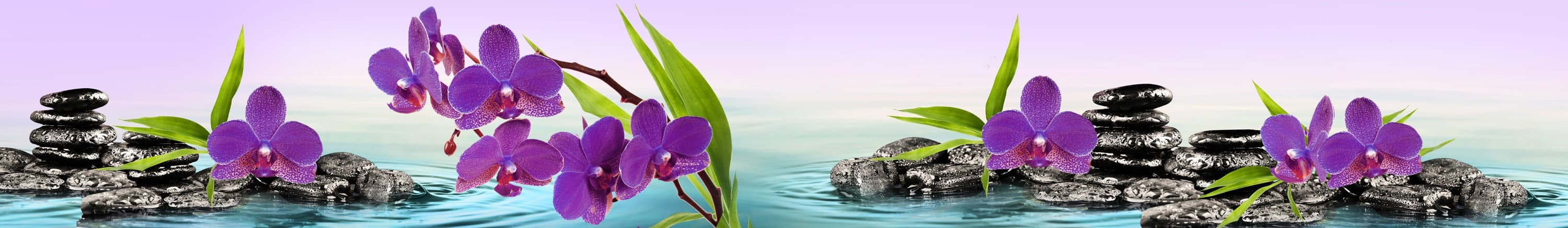 <span  class="uc_style_uc_tiles_grid_image_elementor_uc_items_attribute_title" style="color:#ffffff;">skinali-5631</span>