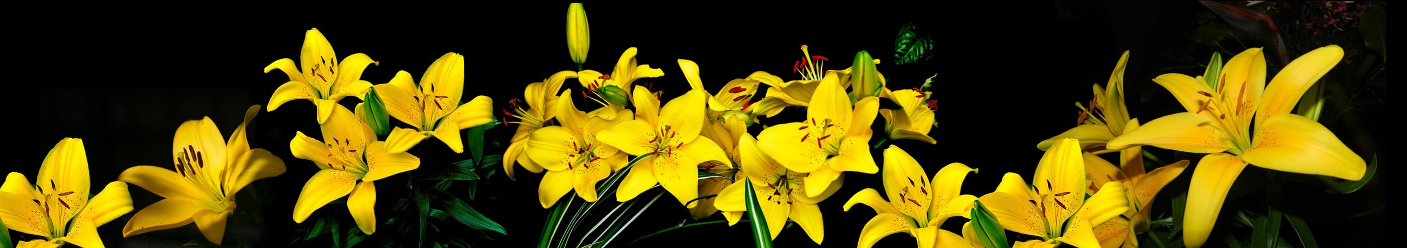 <span  class="uc_style_uc_tiles_grid_image_elementor_uc_items_attribute_title" style="color:#ffffff;">skinali-5635</span>