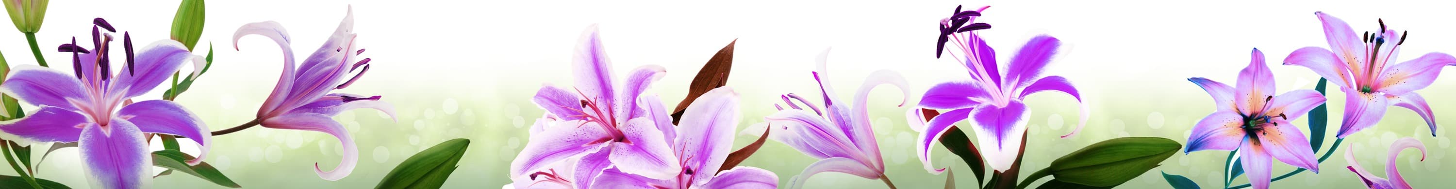 <span  class="uc_style_uc_tiles_grid_image_elementor_uc_items_attribute_title" style="color:#ffffff;">skinali-5638</span>