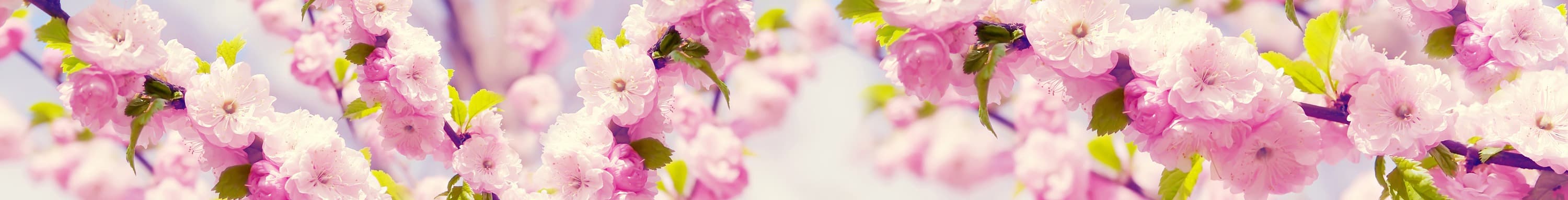 <span  class="uc_style_uc_tiles_grid_image_elementor_uc_items_attribute_title" style="color:#ffffff;">skinali-5645</span>