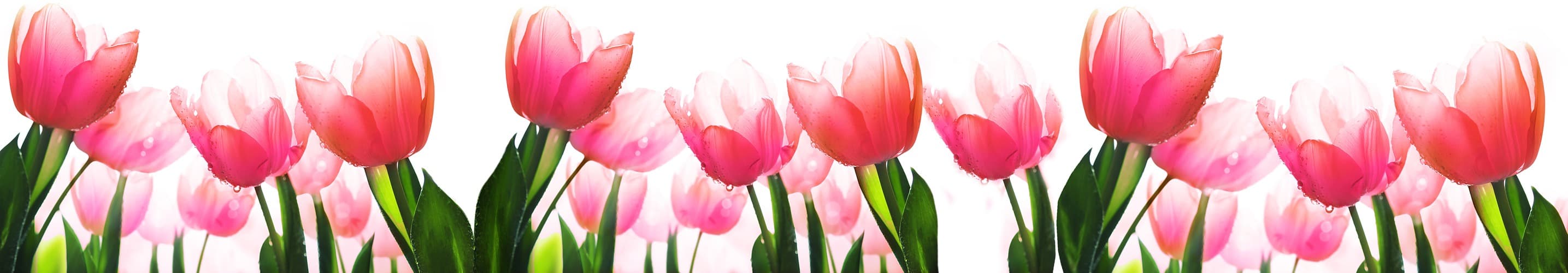 <span  class="uc_style_uc_tiles_grid_image_elementor_uc_items_attribute_title" style="color:#ffffff;">skinali-5652</span>