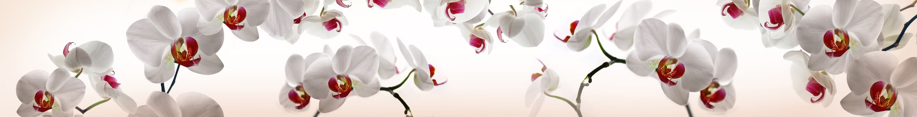 <span  class="uc_style_uc_tiles_grid_image_elementor_uc_items_attribute_title" style="color:#ffffff;">skinali-5654</span>