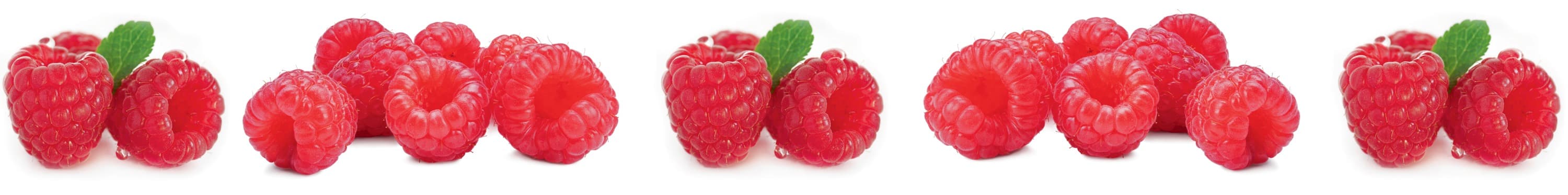 <span  class="uc_style_uc_tiles_grid_image_elementor_uc_items_attribute_title" style="color:#ffffff;">skinali-5696</span>
