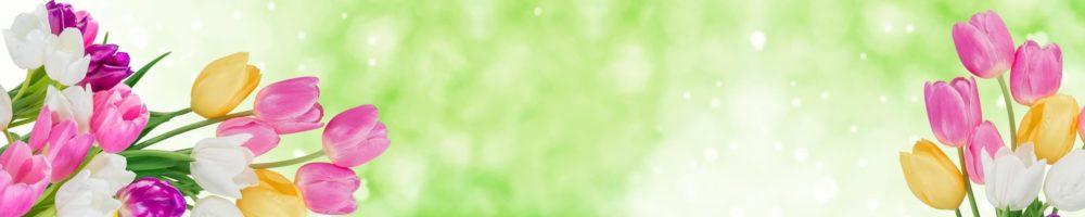 <span  class="uc_style_uc_tiles_grid_image_elementor_uc_items_attribute_title" style="color:#ffffff;">skinali-5776</span>